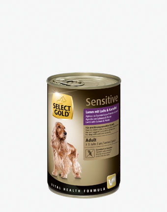 Select Gold Hund Nass 400g 1002696012