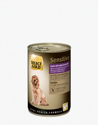 Select Gold Hund Nass 400g 1002696013