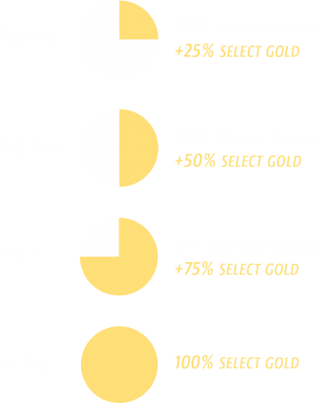 select gold fuetterungsumstellung katze infografik kreise