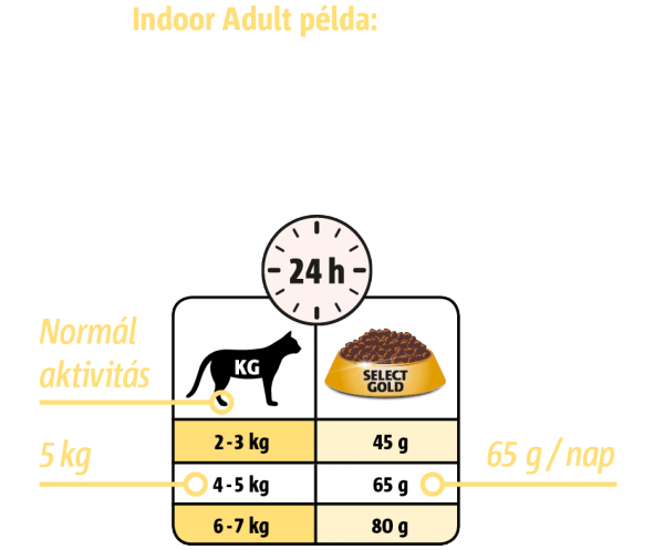 tabelle tipps fuetterung indoor adult hu