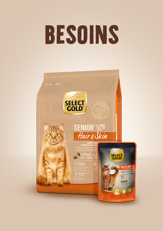 Besoins
