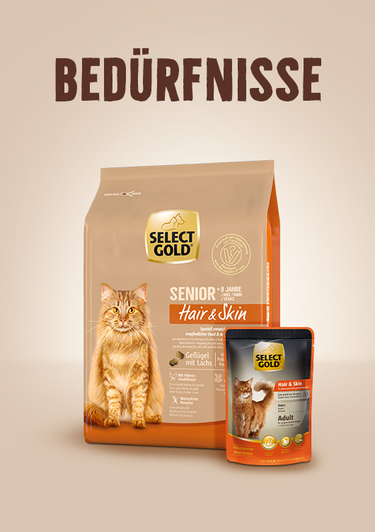 Bedürfnisse