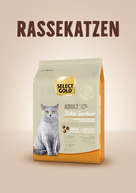 Rassekatzen