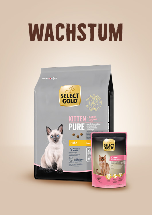 Wachstum