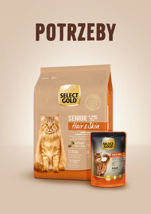Potrzeby