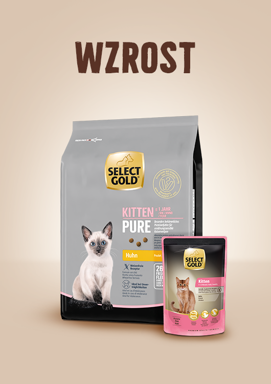 Wzrost