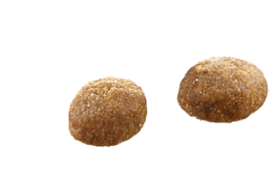 select gold katze persian kroketten