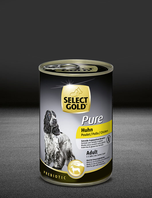 mischfütterung hund