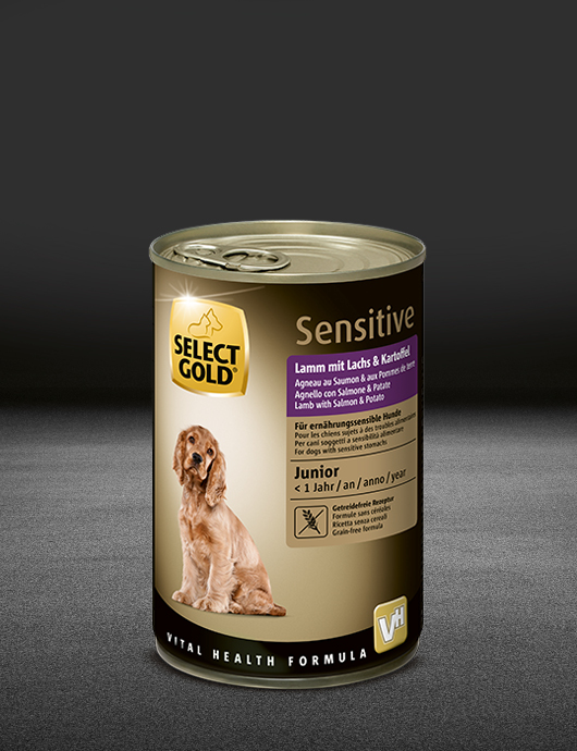 select gold sensitive junior lamm mit lachs und kartoffel dose nass 530x890px
