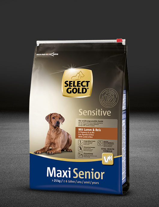 select gold sensitive maxi senior lamm und reis beutel trocken 530x890px