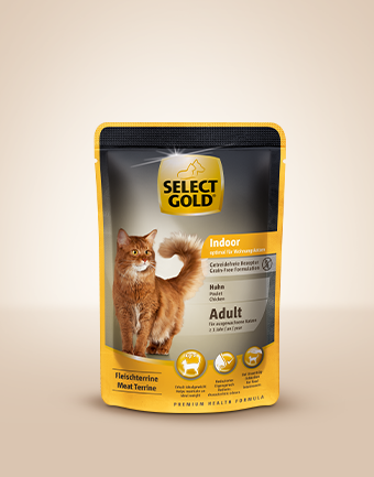 select gold indoor adult 340x433px