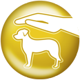 select gold hund schutz hirsch